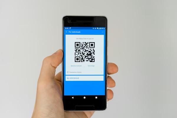 QR Code Guide